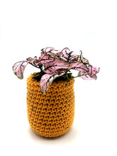 Charger l'image dans la galerie, Cache-pot crochet - petit modèle